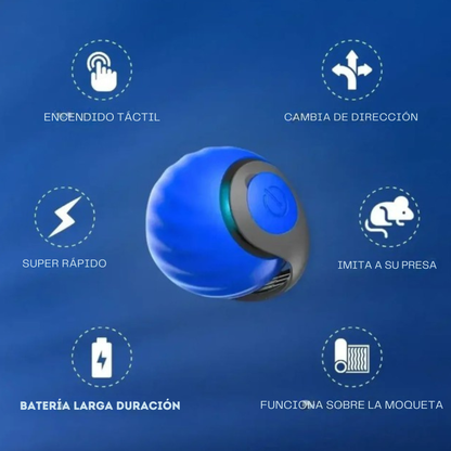 Juguete interactivo automático para gatos